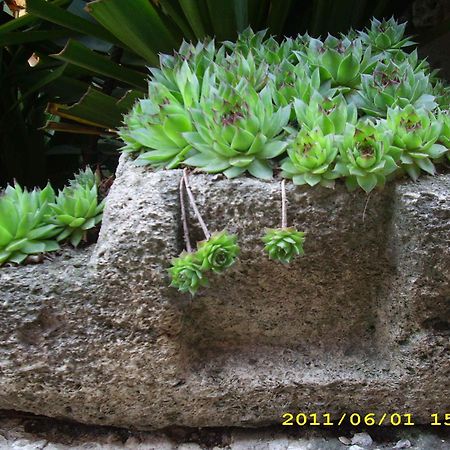 Guest House Villa Katty Balchik Esterno foto