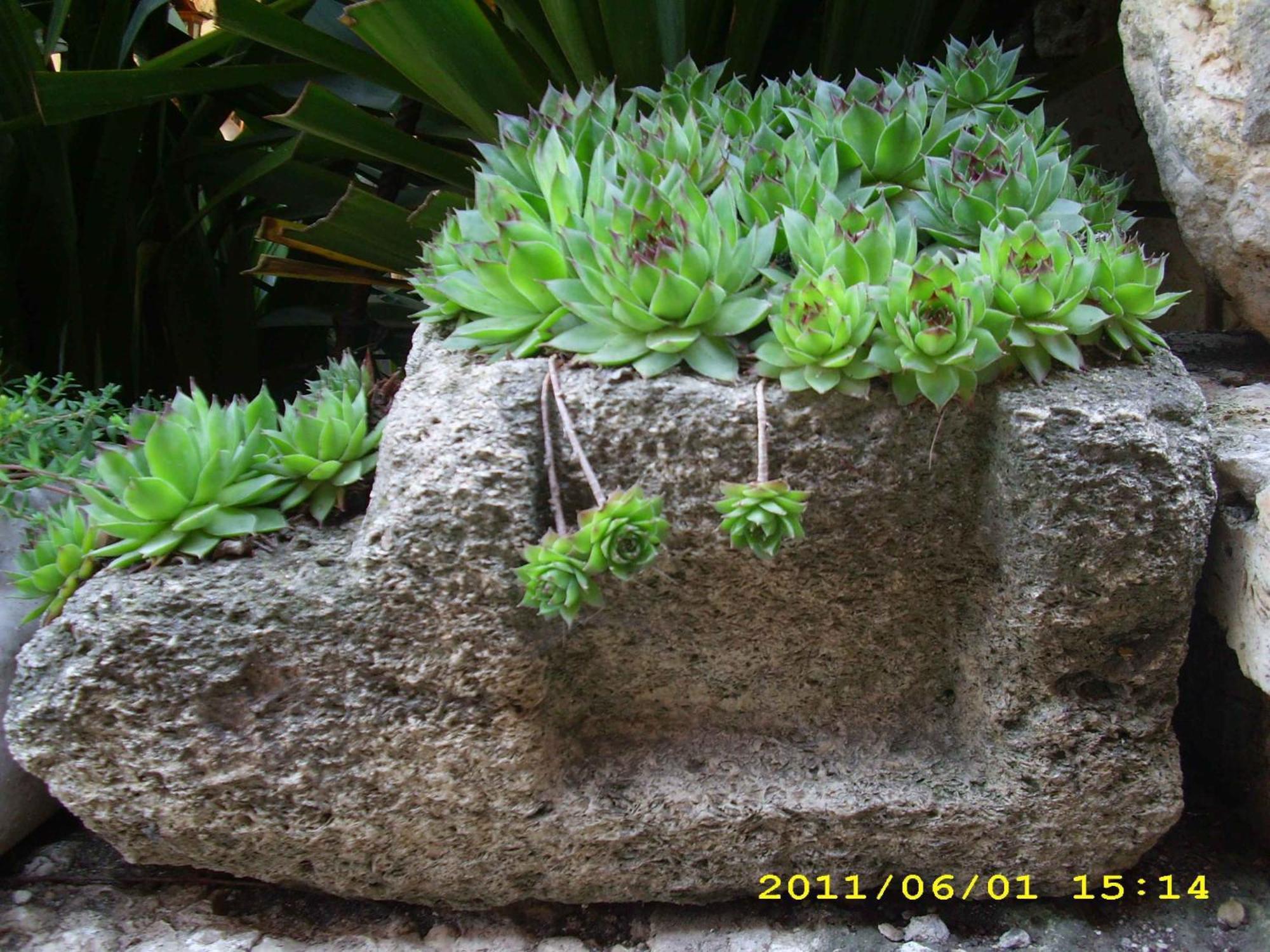 Guest House Villa Katty Balchik Esterno foto